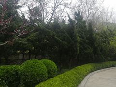 -大连植物园