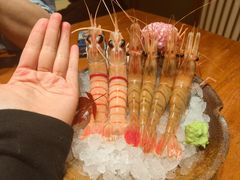-月龍吟(朝龙汇店)