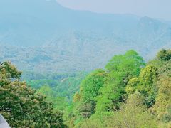 -青城山