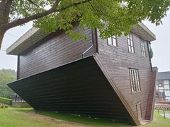 -金山农民画村-枫泾波兰倒置屋