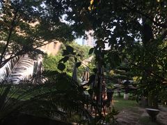 -大可堂普洱茶馆(襄阳南路馆)