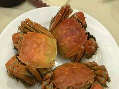 -王宝和酒家(黄浦店)