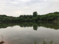 -盘龙城国家考古遗址公园