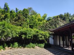 -杭州黄龙洞