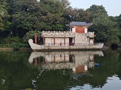 -金花茶公园