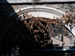 -紫阳古街