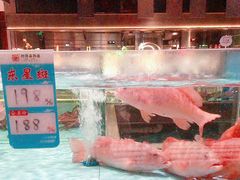-阿伟海鲜楼·福建菜(延寿店)