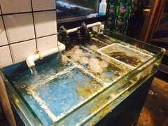 水产区-路边摊小炉子烧烤