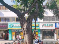 -紫荆城食品交易中心(华强北店)