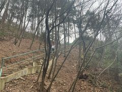 -四明山国家森林公园