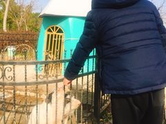 -上海滴水湖皇冠假日酒店