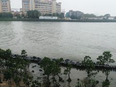 -万绿园