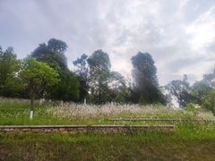-桂溪生态公园