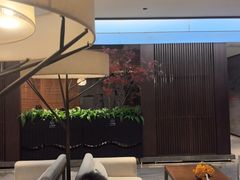 -三谷里·生态水疗空间(五一店)