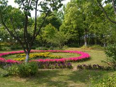 -杭州湾海上花田景区