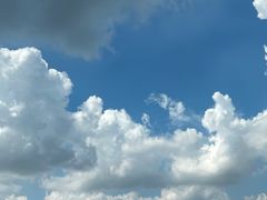 -马陆小张葡萄园农家乐