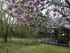 -醍醐寺