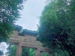 -灵谷景区