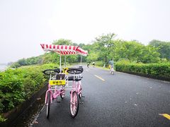 -松山湖南湖湾露营营地