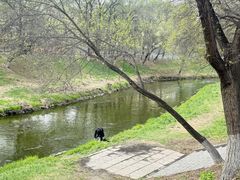 -黛秀湖公园
