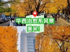 -四川大学华西第四医院