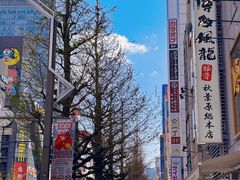 -秋叶原电器街