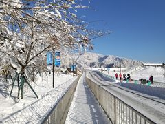 -西岭雪山大飞水景区
