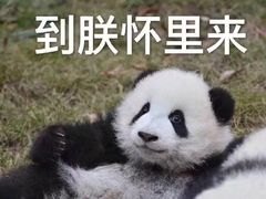 -袁记串串香(川师店)
