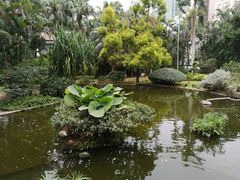 -九龙公园