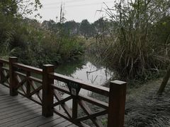 -桤木河湿地公园