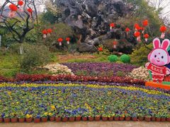 -镇江市南山风景名胜区竹林景区