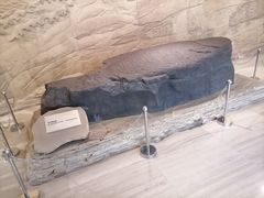 -白鹤梁水下博物馆