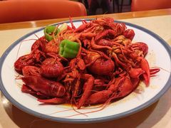 -杨氏青龙虾·羊蝎子(珠江路店)