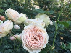 -人民公园(罗湖区)