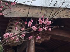 -罍+村(半边街店)