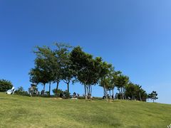 -小麦岛公园