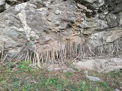 -云岫谷自然风景区