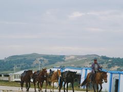 -塞罕坝国家级自然保护区