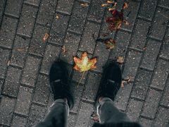 -金棕榈新百世纪影城