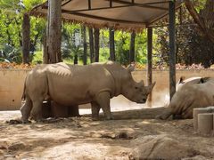 -西安秦岭野生动物园