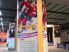 -深圳大运中心世界冠军羽毛球馆