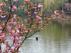-静之湖度假区