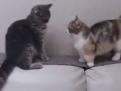 -MIKAKU(万达广场上海宝山店)