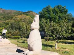 -北京十三陵国家森林公园蟒山景区