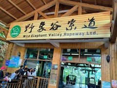 -野象谷景区