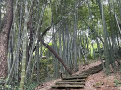 -宁波野生动物园