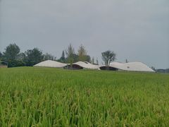 -中国天府农业博览园