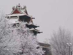 -故宫博物院(故宫)