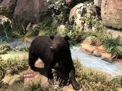 -陕西自然博物馆