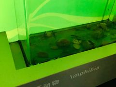 -中国湿地博物馆